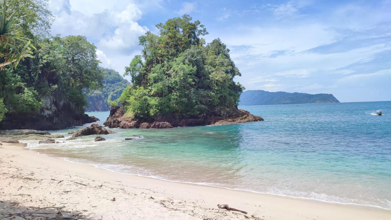 Adventure Turtle Homestay Meru Betiri Sarungan Εξωτερικό φωτογραφία