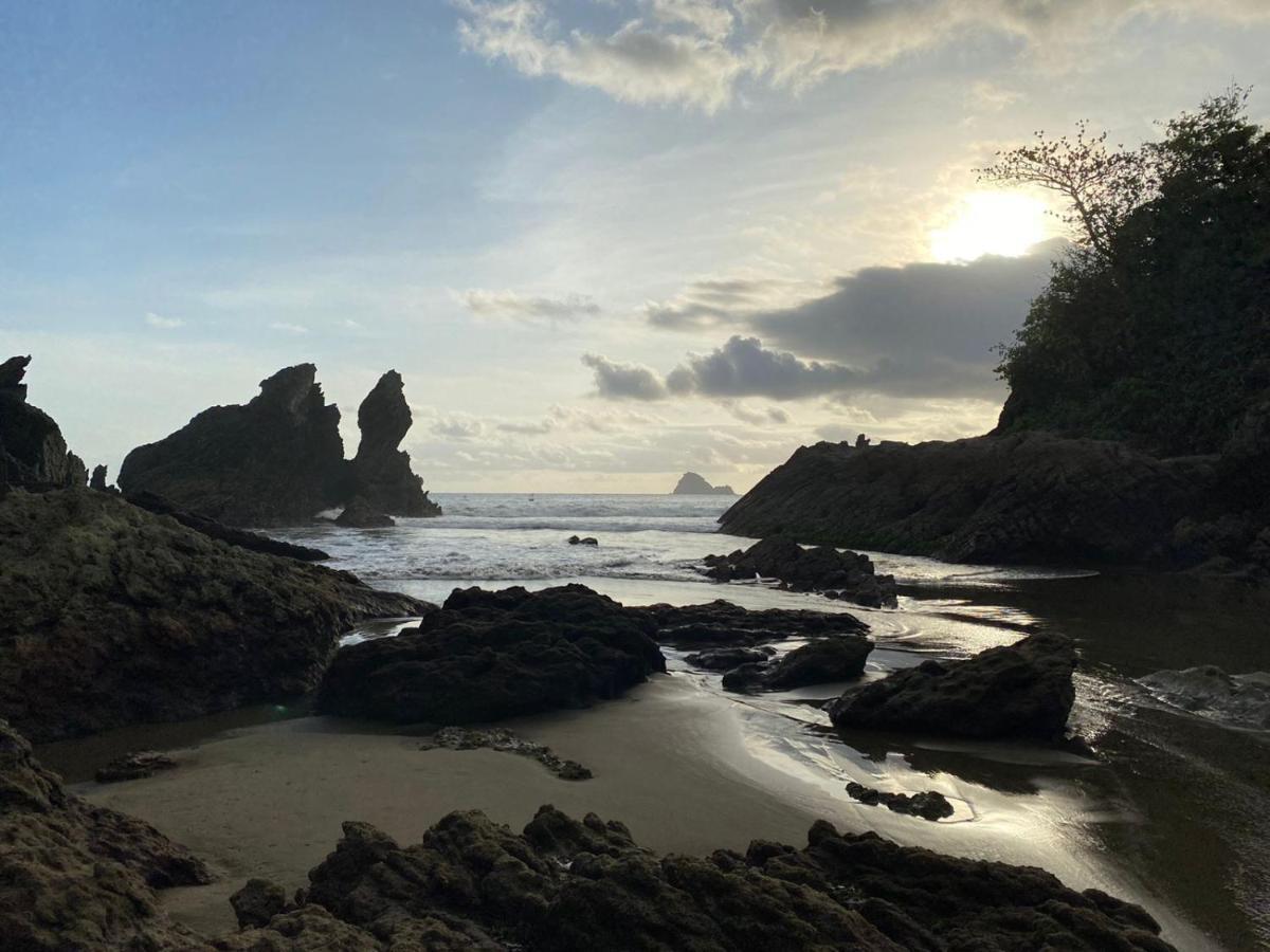 Adventure Turtle Homestay Meru Betiri Sarungan Εξωτερικό φωτογραφία