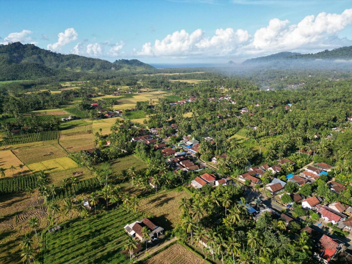 Adventure Turtle Homestay Meru Betiri Sarungan Εξωτερικό φωτογραφία