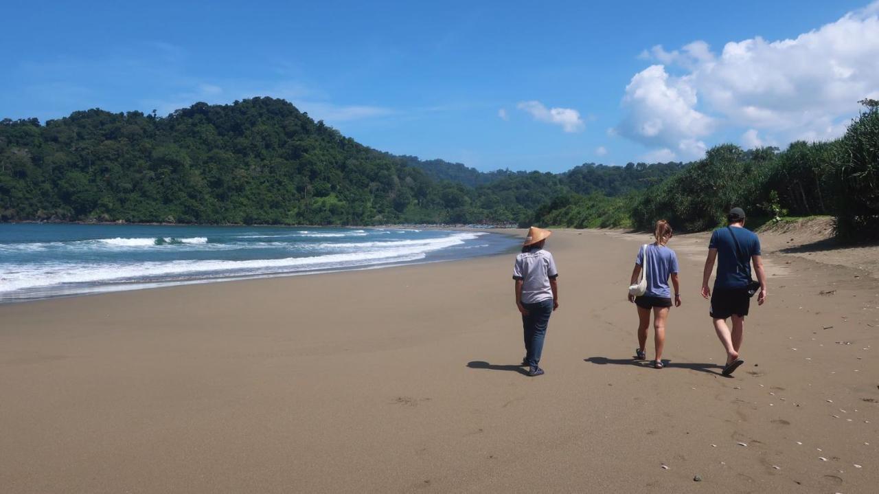 Adventure Turtle Homestay Meru Betiri Sarungan Εξωτερικό φωτογραφία