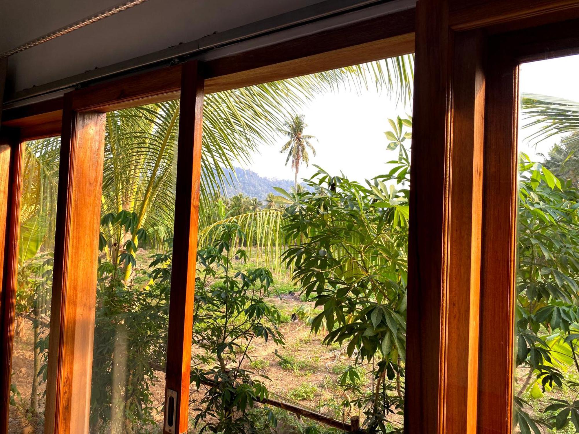 Adventure Turtle Homestay Meru Betiri Sarungan Εξωτερικό φωτογραφία