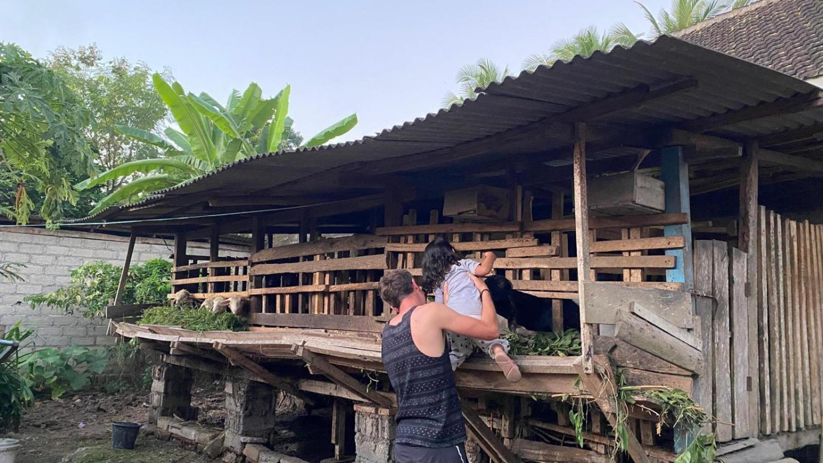 Adventure Turtle Homestay Meru Betiri Sarungan Εξωτερικό φωτογραφία