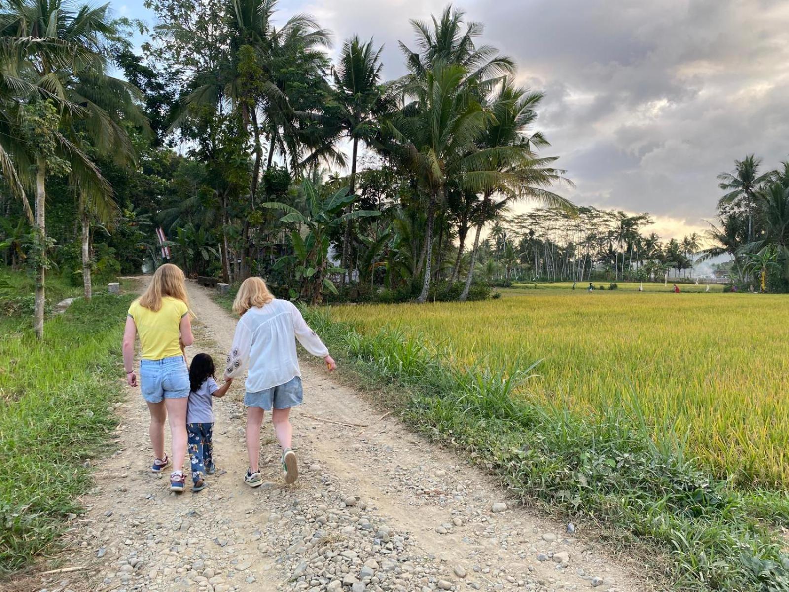Adventure Turtle Homestay Meru Betiri Sarungan Εξωτερικό φωτογραφία